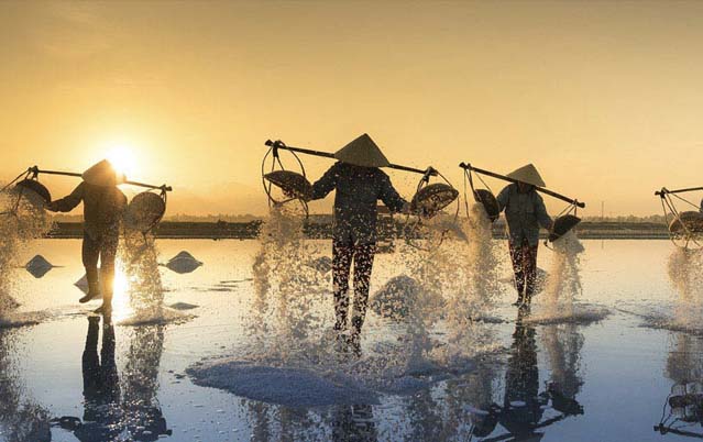 Market Report Vietnam. The Vietnamese study abroad market.