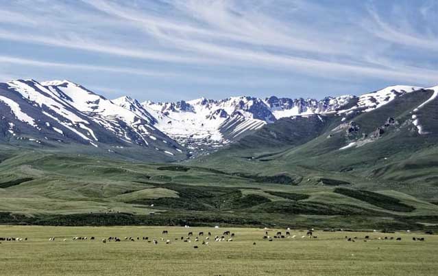 Market Report Kyrgyzstan. The Kyrgyzstan study abroad market